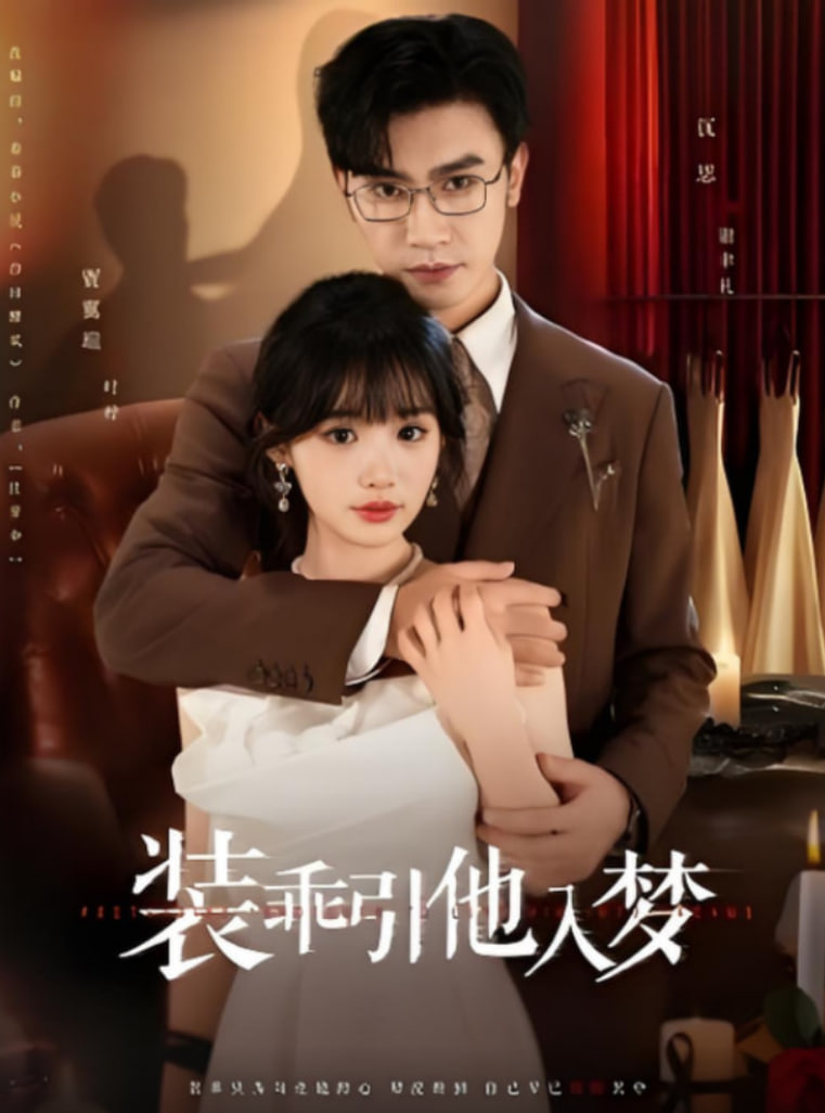 第九个寡妇电视剧全集