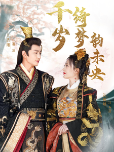 护宝寻踪40电视剧全集