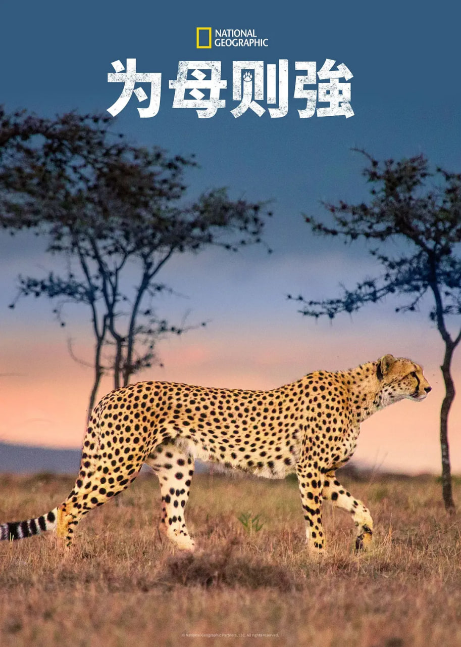 完美关系电视剧全集观看