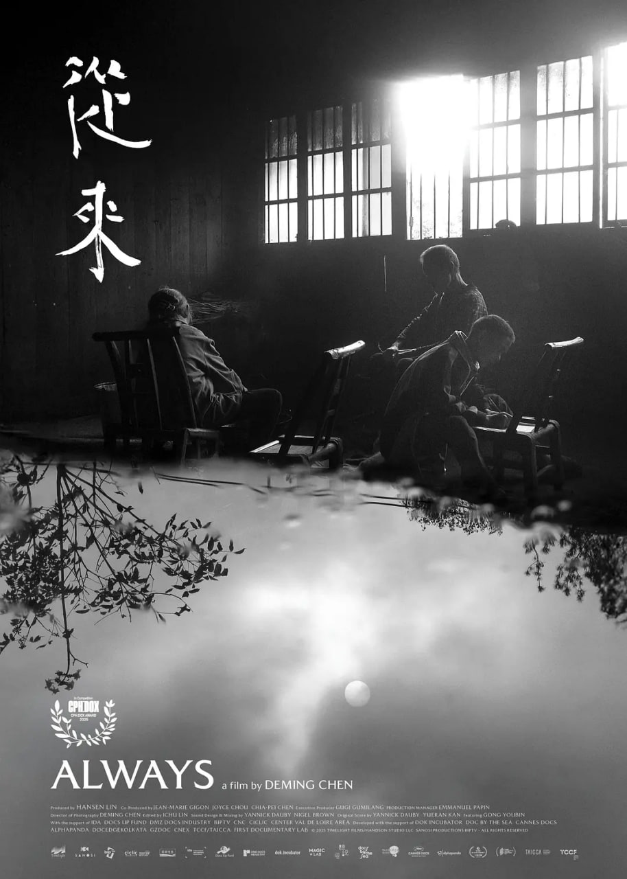 电视剧新恋爱时代全集