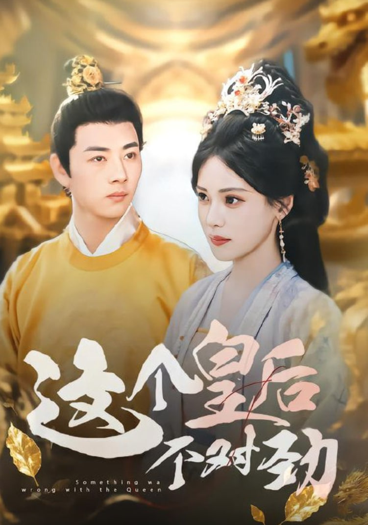 与君初相识电视剧免费观看全集