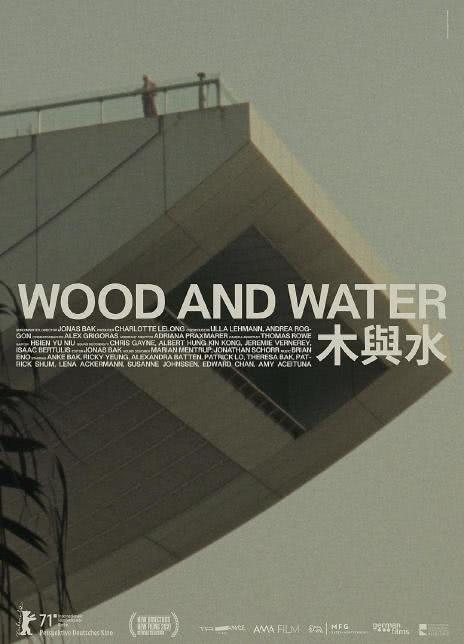 致1999年的自己电视剧免费观看